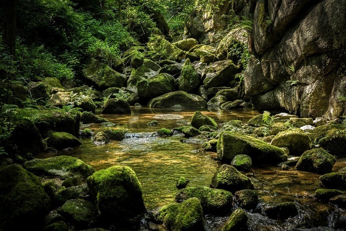 Pixabay: leonhard_niederwimmer-waterfall